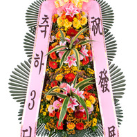 축하3단