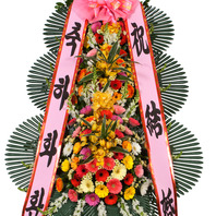 축하45