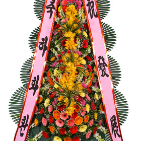 축하40